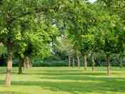 The second orchard for camping