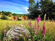 Pods with great views up the valley and lots of space beyond (added by manager 27 Jan 2020)