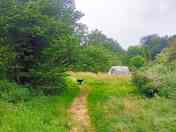 Tent on a secluded pitch
