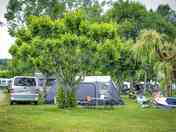 Pitches among trees and plants