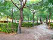 Shaded pitches