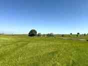 Rural scenery