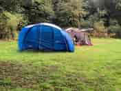 Plenty of room to pitch your tent (added by manager 18 Aug 2021)