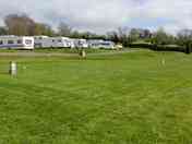 Grove pitches
