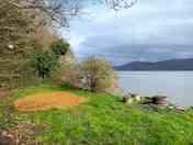 Last pitch along path, Angell. A soft wood chip patch for tent and surrounded by grass and shrubs (added by manager 19 Mar 2024)