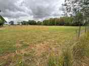 Grass pitches