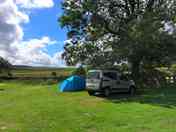 Roomy pitch