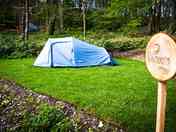 Grass pitch