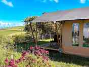 Flowers bordering Safari Tent