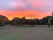 Grassy pitches