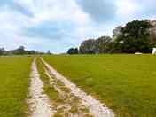 The site