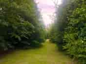 Hazel path to the Hedgehog pitches (added by manager 29 Jul 2022)