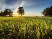 Dog-friendly camping in Oxfordshire