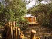 Yurt surrounded by greenery