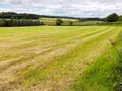View from the gateway towards the pitches