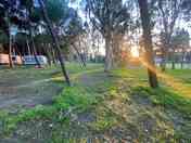 Shaded pitch
