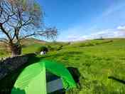 Grassy pitches