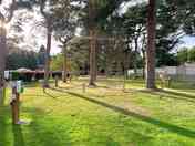 Grass pitches with trees