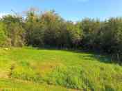 Grass and gravel tent pitch