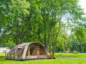 Pitches among the trees