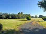 General main field view