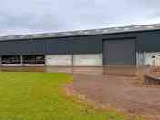 The Shed