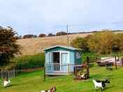 The cabin and its own outdoor area