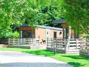 Glamping Hive