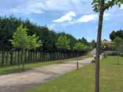 Flat premium plots and shade
