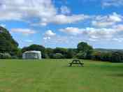 Grass Pitch