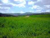 Tent pitch overlooking the fells