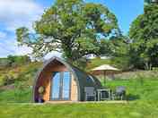 Camping pod surrounded by greenery