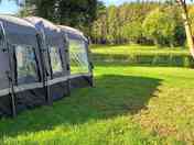 Flat and grassy pitches that are surrounded by our wildlife filled woodland