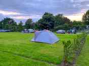 Hillview meadow