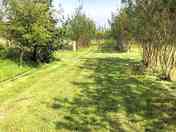 Grass pitches