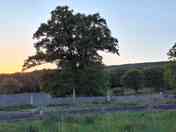 View from the pitches
