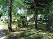 Camping pitches