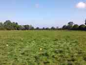 The pitching field