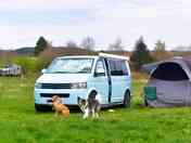 Dog-friendly site