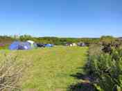 Lower meadow