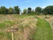 The Quack Quack pitch mown into the long grass