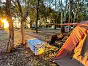 Sleeping in the woods