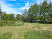 Group pitch, pitch 16