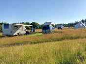 Grass pitches
