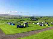 Grass pitches