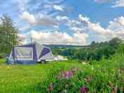 Grass pitches