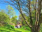 Visitor image of the non-electric grass tent pitch