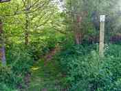 Pitch 5 entrance