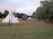 Tipi