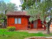 Cottage sitting in greenery